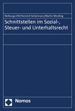 Schnittstellen Im Sozial-, Steuer- Und Unterhaltsrecht