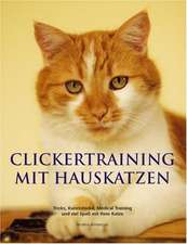 Clickertraining mit Hauskatzen