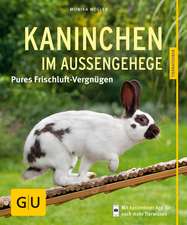 Kaninchen im Außengehege