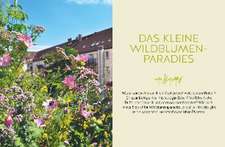 Wildblumen für Balkon und Terrasse