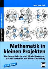 Mathematik in kleinen Projekten