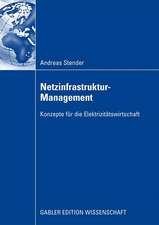 Netzinfrastruktur-Management: Konzepte für die Elektrizitätswirtschaft