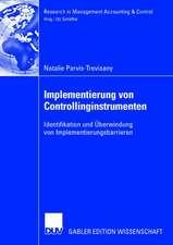 Implementierung von Controllinginstrumenten