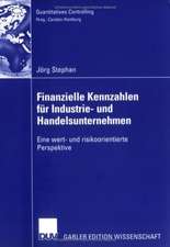 Finanzielle Kennzahlen für Industrie- und Handelsunternehmen: Eine wert- und risikoorientierte Perspektive