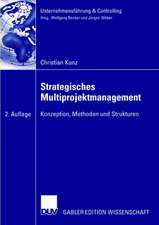 Strategisches Multiprojektmanagement: Konzeption, Methoden und Strukturen