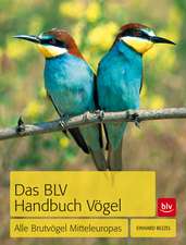 Das BLV Handbuch Vögel