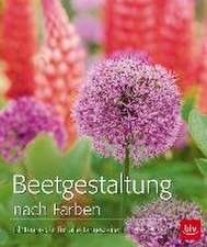 Klee, F: Beetgestaltung nach Farben