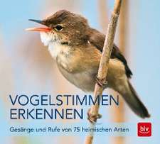 Vogelstimmen erkennen / CD