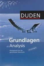 Grundlagen Analysis - Übungsheft für die gymnasiale Oberstufe