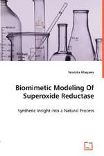 Biomimetic Modeling of Superoxide Reductase