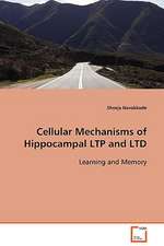 Cellular Mechanisms of Hippocampal LTP and LTD