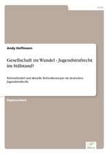 Gesellschaft im Wandel - Jugendstrafrecht im Stillstand?