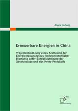 Erneuerbare Energien in China: Projektentwicklung Eines Kraftwerks Fur Energieerzeugung Aus Festbrennstofflicher Biomasse Unter Ber Cksichtigung Der