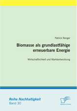 Biomasse ALS Grundlastf Hige Erneuerbare Energie: Wirtschaftlichkeit Und Marktentwicklung