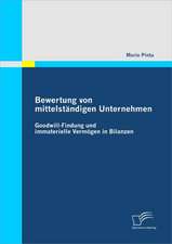 Bewertung Von Mittelst Ndigen Unternehmen: Goodwill-Findung Und Immaterielle Verm Gen in Bilanzen