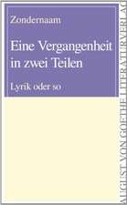 Zondernaam: Vergangenheit in zwei Teilen