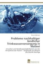 Probleme Nachhaltiger Landlicher Trinkwasserversorgung in Malawi: Insights from Cern Physicists