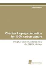 Chemical Looping Combustion for 100% Carbon Capture: A Novel Histone Lysine Mono-Methyltransferase