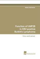 Function of Lmp2b in Ebv-Positive Burkitt's Lymphoma: A Novel Histone Lysine Mono-Methyltransferase