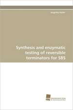 Synthesis and Enzymatic Testing of Reversible Terminators for SBS: An Integrative Approach