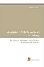 Analysis of Tribolium Head Patterning: Communities in Private-Collective Innovation