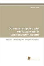 Duv-Resist Stripping with Ozonated Water in Semiconductor Industry: Communities in Private-Collective Innovation