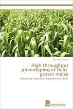 High Throughput Phenotyping of Field-Grown Maize: A Novel Therapy to Stimulate Arteriogenesis