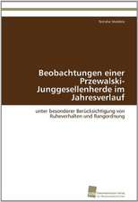 Beobachtungen Einer Przewalski-Junggesellenherde Im Jahresverlauf: An Alternative Succession Route for Family Firms