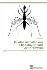 In-Vitro Aktivitat Von Clindamycin Und Azithromycin: An Alternative Succession Route for Family Firms