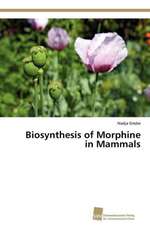 Biosynthesis of Morphine in Mammals