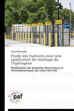 Etude des hydrures pour une application de stockage de l¿hydrogène