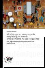 Modèles pour composants magnétiques multi-enroulements haute fréquence