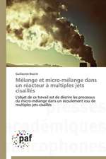 Mélange et micro-mélange dans un réacteur à multiples jets cisaillés