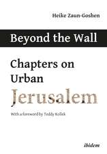 Beyond the Wall: Chapters on Urban Jerusalem