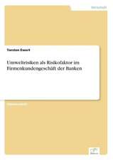 Umweltrisiken als Risikofaktor im Firmenkundengeschäft der Banken