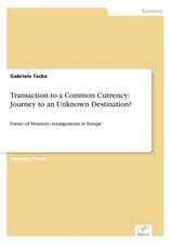 Transaction to a Common Currency: Journey to an Unknown Destination?