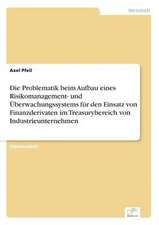 Die Problematik beim Aufbau eines Risikomanagement- und Überwachungssystems für den Einsatz von Finanzderivaten im Treasurybereich von Industrieunternehmen