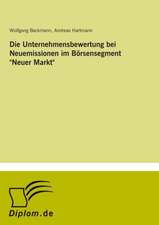 Die Unternehmensbewertung bei Neuemissionen im Börsensegment "Neuer Markt"