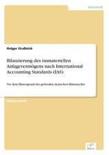 Bilanzierung des immateriellen Anlagevermögens nach International Accounting Standards (IAS)