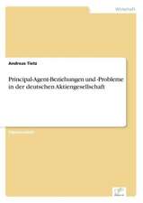 Principal-Agent-Beziehungen und -Probleme in der deutschen Aktiengesellschaft