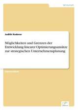 Möglichkeiten und Grenzen der Entwicklung linearer Optimierungsansätze zur strategischen Unternehmensplanung