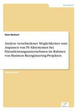 Analyse verschiedener Möglichkeiten zum Anpassen von IV-Altsystemen bei Dienstleistungsunternehmen im Rahmen von Business Reengineering-Projekten