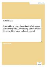 Entwicklung eines Praktikerleitfadens zur Einführung und Anwendung der Balanced Scorecard in einem Industriebetrieb