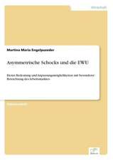 Asymmetrische Schocks und die EWU