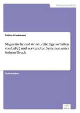 Magnetische und strukturelle Eigenschaften von LuFe2 und verwandten Systemen unter hohem Druck