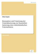 Konzeption und Umsetzung der Umstrukturierung zur finanziellen Sanierung eines mittelständischen Unternehmens