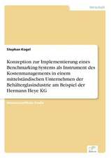 Konzeption zur Implementierung eines Benchmarking-Systems als Instrument des Kostenmanagements in einem mittelständischen Unternehmen der Behälterglasindustrie am Beispiel der Hermann Heye KG