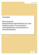 Bewertung der Risikoabsicherungsmethoden bei einer Direktinvestition von deutschen mittelständischen Unternehmen in Schwellenländern