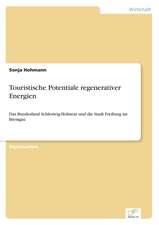 Touristische Potentiale regenerativer Energien