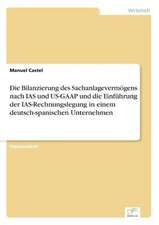 Die Bilanzierung Des Sachanlagevermogens Nach IAS Und Us-GAAP Und Die Einfuhrung Der IAS-Rechnungslegung in Einem Deutsch-Spanischen Unternehmen